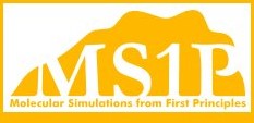 logo ms1p 100 white.png